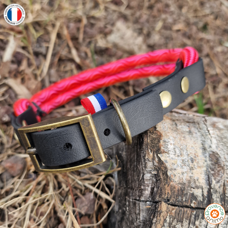 Sangle gravée standard Biothane® 2,5 x 60 cm Rouge - Colliers