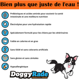 Doggyrade - Boisson isotonique de ré-hydratation pour chien