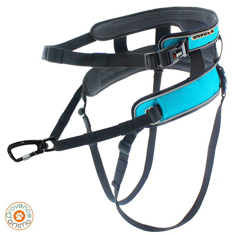 STYLE- Baudrier Ceinture CaniCross Grise Taille Unique idog - ProChasse