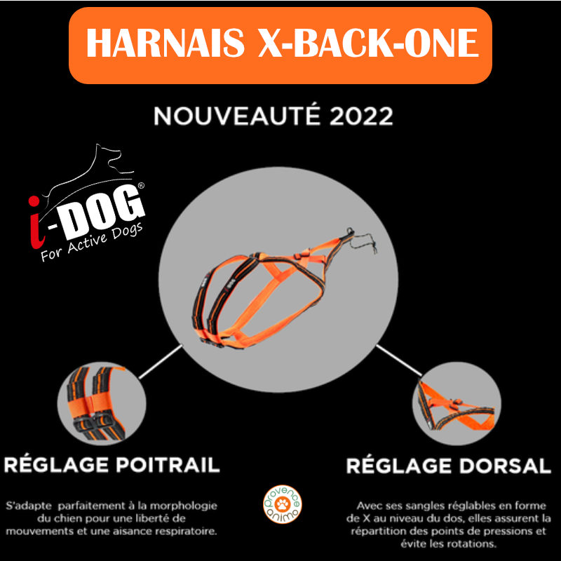 Harnais Canicross X-BACK ONE- Ma boutique animaux NC
