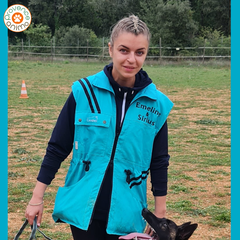 gilet conducteur canin