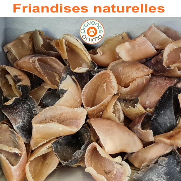 Alimentation - Friandises