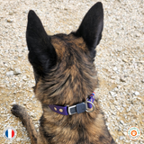 Collier chien BIOTHANE  boucle HS SPRENGER - A créer soi-même ! Ref AGDE