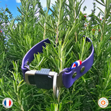 Collier chien BIOTHANE  boucle HS SPRENGER - A créer soi-même ! Ref AGDE