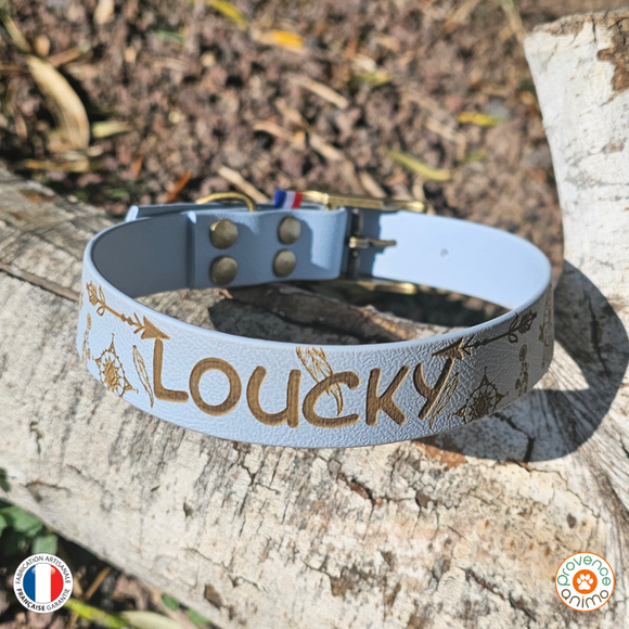 Collier pour chien en biothane uni - REF DREAM - 25mm
