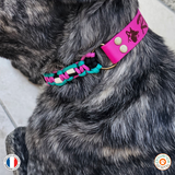 Collier chien anti tique - BIOTHANE - avec gravure nom chien -  A créer soi-même ! Ref ROME