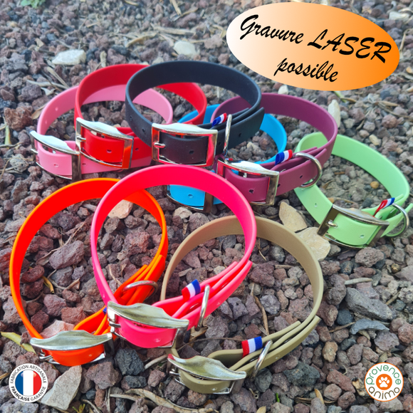 Ensemble collier et laisse en biothane avec nom personnalisé Ensemble collier et laisse en biothane avec nom personnalisé