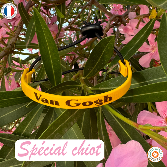 Collier pour chiot élastiqué en biothane uni - REF SAINT MALO - Coloris au choix