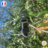 Collier chien BIOTHANE  boucle HS SPRENGER - A créer soi-même ! Ref AGDE