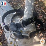 Collier chien BIOTHANE  boucle HS SPRENGER - A créer soi-même ! Ref AGDE
