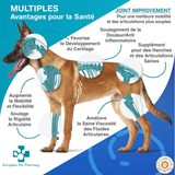 Joint Improvement - Articulations - European Pet Pharmacy