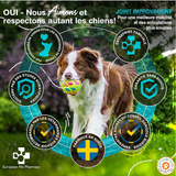 Joint Improvement - Articulations - European Pet Pharmacy