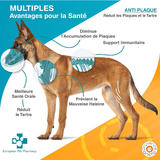 Anti plaque - entretien dentaire chien - European Pet Pharmacy