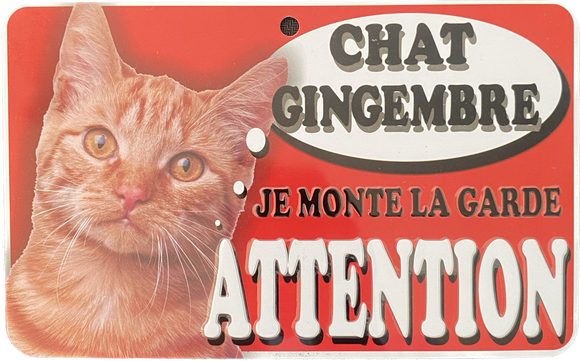 Plaque en métal Chat Gingembre