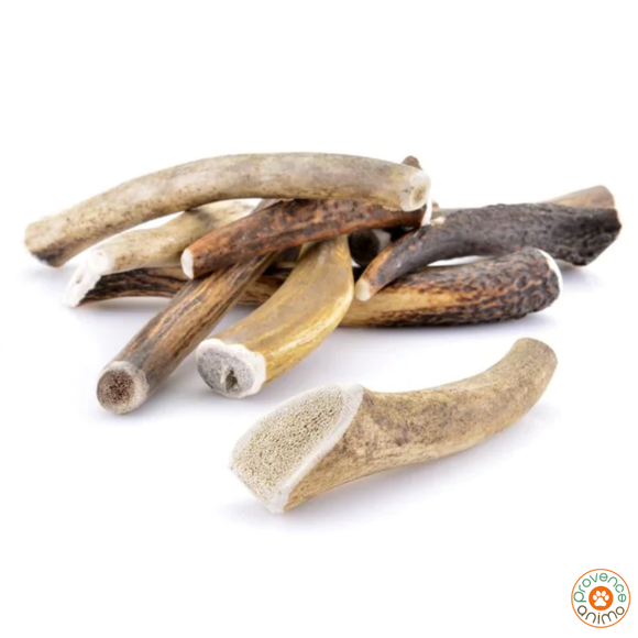 Bois de Cerf entier - grade AA
