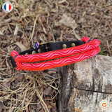 Collier pour chien CORDE/BIOTHANE - REF ANGERS - Coloris au choix