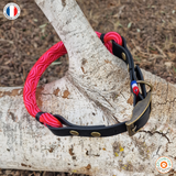 Collier pour chien CORDE/BIOTHANE - REF ANGERS - Coloris au choix