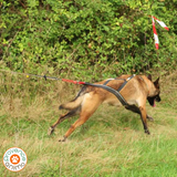 harnais de traction NON STOP DOGWEAR - nansen nome 5.0