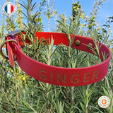 Collier pour chien bicolore BIOTHANE- A créer soi même ! REF PAU