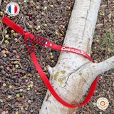 Laisse BIOTHANE tressé PARACORD 1m - avec impression NOM du chien - A créer soi-même !