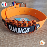 Collier chien BIOTHANE tressé Paracord avec marquage - Venise - A créer soi-même !