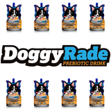 Doggyrade - Boisson isotonique de ré-hydratation pour chien