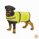 Gilet réfléchissant pour chien - Yoko
