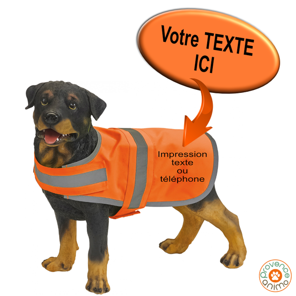 Gilet réfléchissant pour chien - Yoko