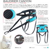 Baudrier canicross Canyon - I-DOG