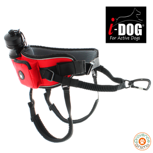 Baudrier Canyon - I-DOG - ceinture de canicross – Provence Animo