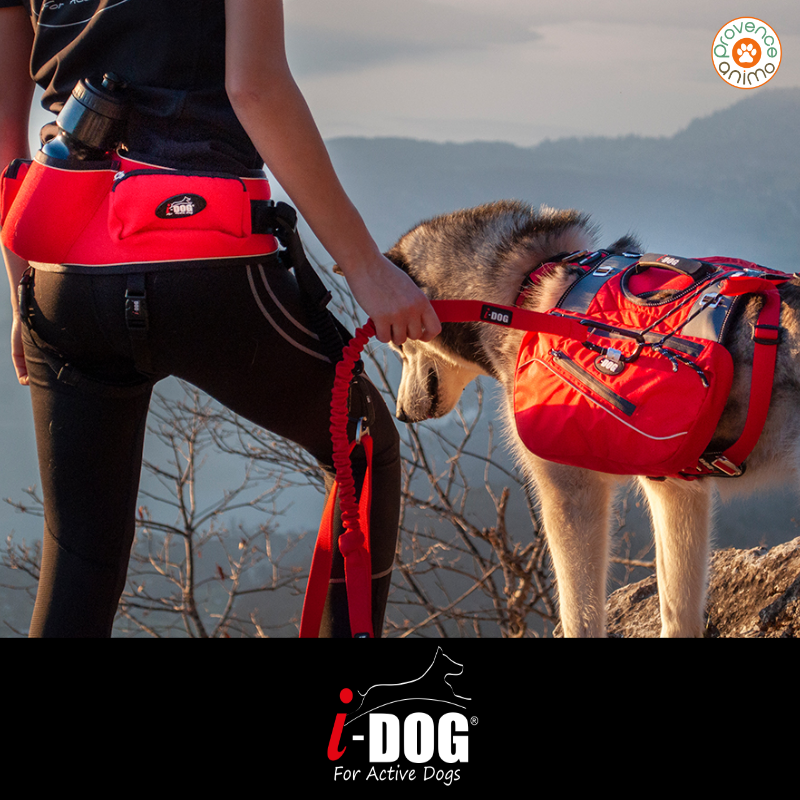 Laisse De Traction Canicross One I-Dog - Taille Unique