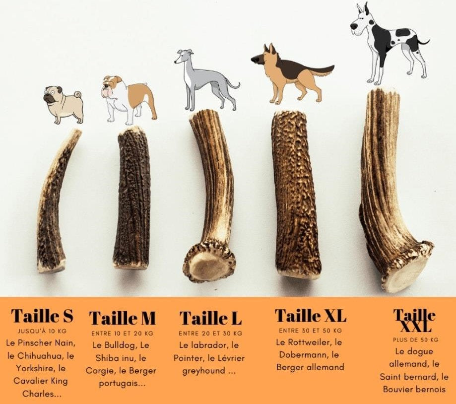 4 morceaux bois cerf chien coutellerie artisanat - Sport 4 morceaux bois cerf chien coutellerie artisanat - Sport