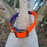 Collier pour chien bicolore BIOTHANE- A créer soi même ! REF PAU