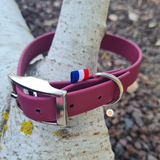 Collier pour chien en biothane uni - REF LIMOGES - Coloris au choix