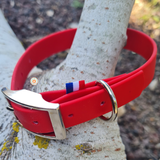 Collier pour chien en biothane uni - REF AVIGNON - Coloris au choix
