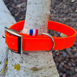 Collier pour chien en biothane uni - REF LIMOGES - Coloris au choix