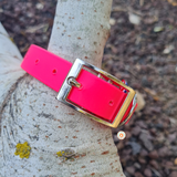 Collier pour chien en biothane uni - REF AVIGNON - Coloris au choix