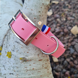 Collier pour chien en biothane uni - REF LIMOGES - Coloris au choix