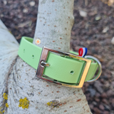 Collier pour chien en biothane uni - REF LIMOGES - Coloris au choix