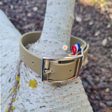Collier pour chien en biothane uni - REF LIMOGES - Coloris au choix
