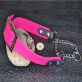 Collier pour chien biothane martingale+boucle - A personnaliser! REF OZ