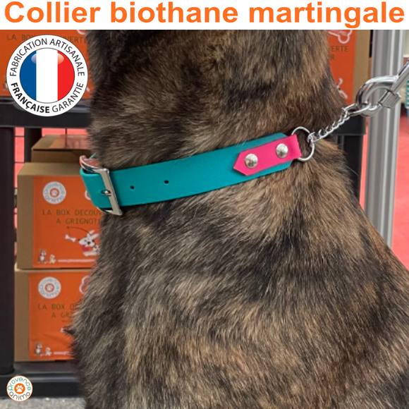 Collier pour chien biothane martingale+boucle - A personnaliser! REF OZ