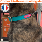 Collier pour chien biothane martingale+boucle - A personnaliser! REF OZ