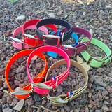 Collier pour chien en biothane uni - REF AVIGNON - Coloris au choix