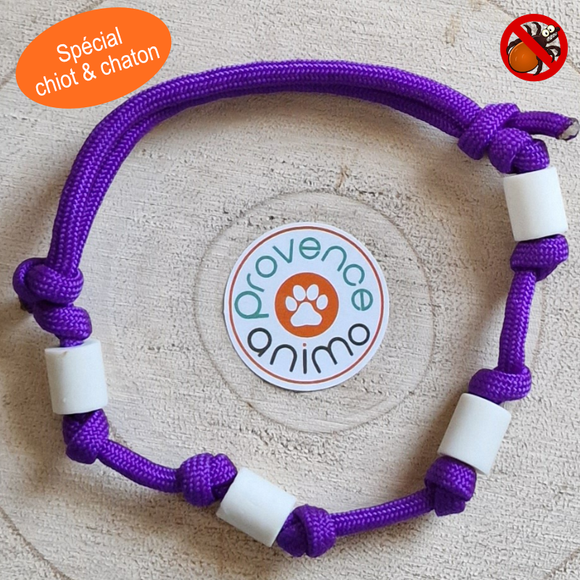 Collier sanitaire, moyen, spécial chiot, réglable, acier chromé – Provence  Animo