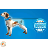 Collier rafraîchissant pour chien - Aqua coolkeeper -cooling collar