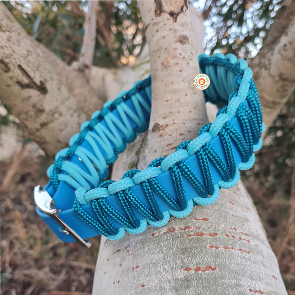 Collier chien BIOTHANE BLEU tressé Paracord Turquoise/Ciel