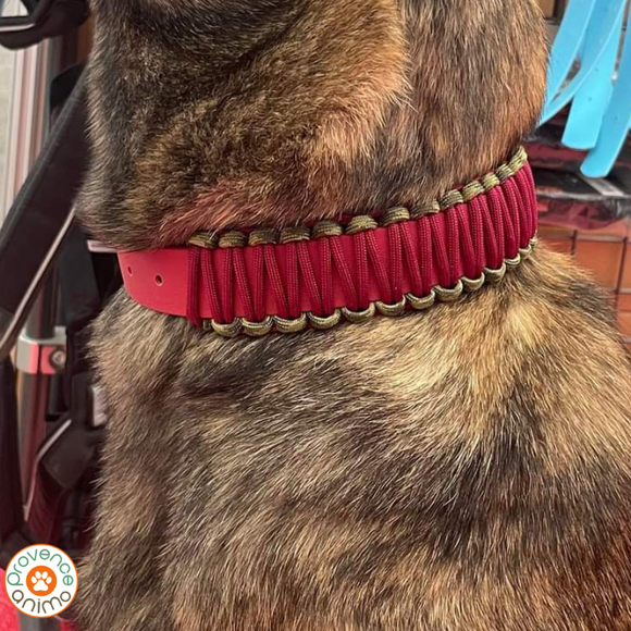 Collier chien BIOTHANE BORDEAUX tressé Paracord Bordeaux/Kaki