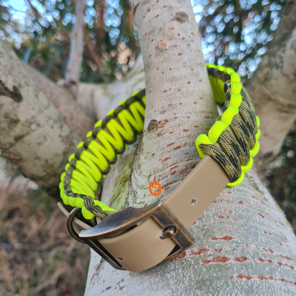 Collier chien BIOTHANE KAKI tressé Paracord Kaki Chiné/Jaune