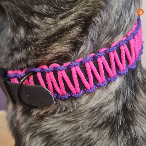 Collier chien BIOTHANE NOIR tressé Paracord Rose/Violet